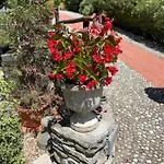 A Canonica Agroturismo