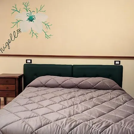 팜스테이 A Canonica