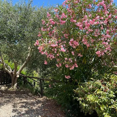 Lantgård A Canonica Garlenda