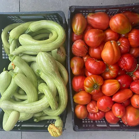 A Canonica Bauernhof Garlenda