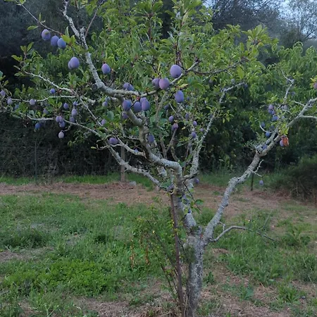 A Canonica Garlenda