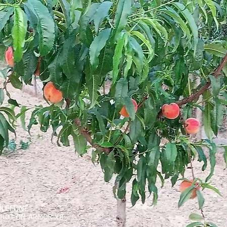 A Canonica Bauernhof *