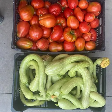 A Canonica * Garlenda