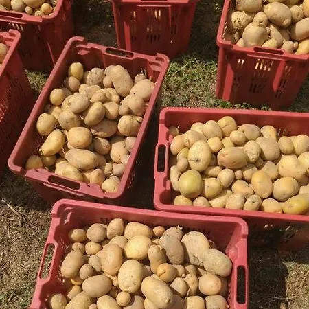 Gospodarstwo agroturystyczne A Canonica Garlenda