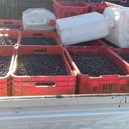 A Canonica * Garlenda