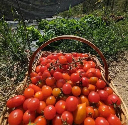A Canonica Séjour à la ferme *