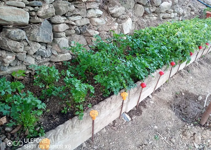 Séjour à la ferme A Canonica *
