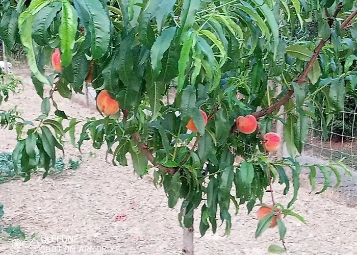 A Canonica Séjour à la ferme *