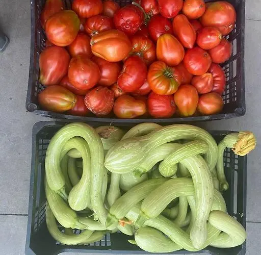 A Canonica * Garlenda