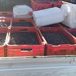 A Canonica * Garlenda