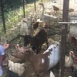 Gospodarstwo agroturystyczne A Canonica *