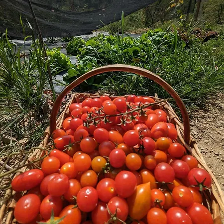 A Canonica Farm stay *