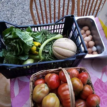 A Canonica Farm stay *