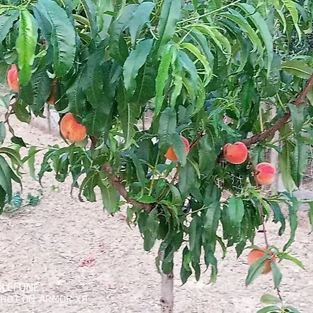 A Canonica Bauernhof *